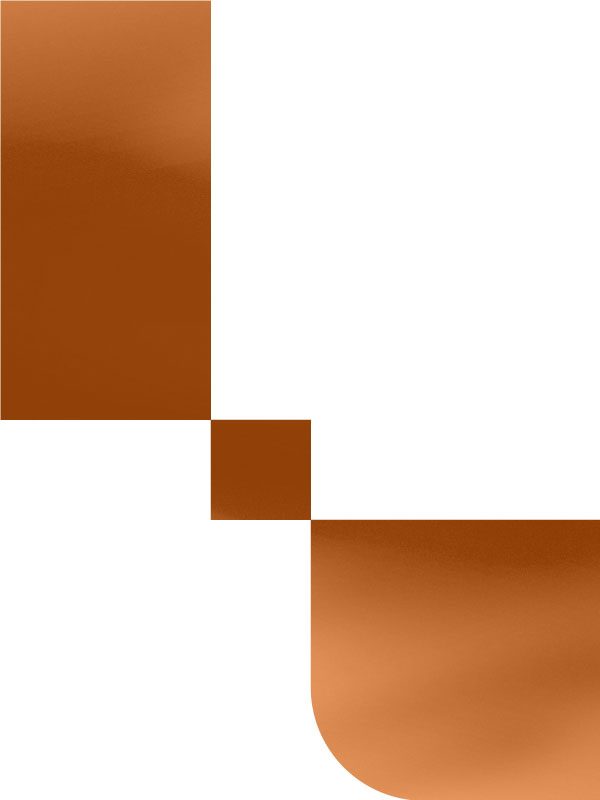 bachelor business administration