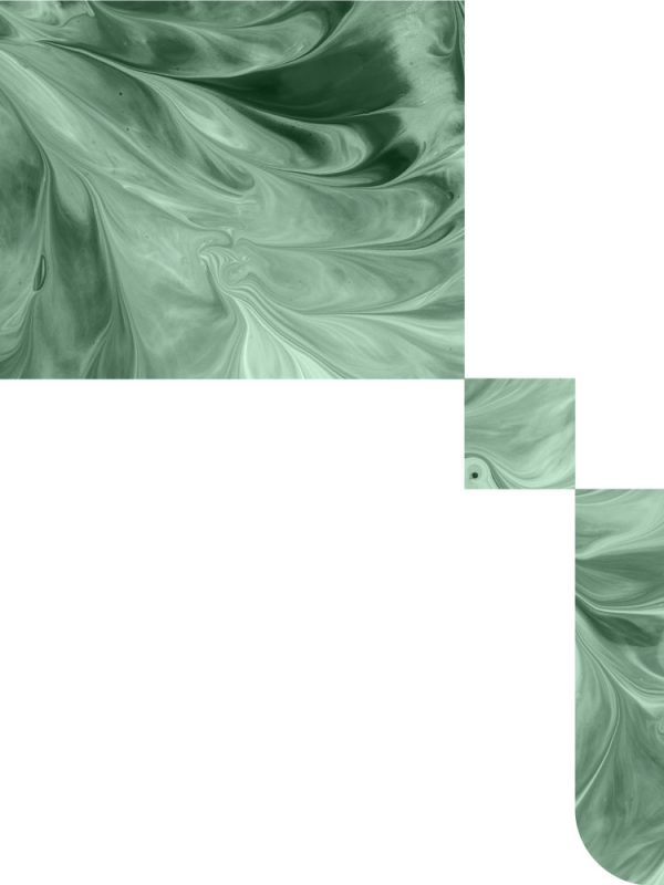 master gestion de atencion sanitaria