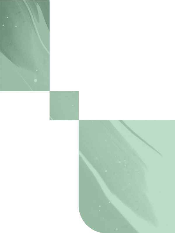 master psicologia aplicada